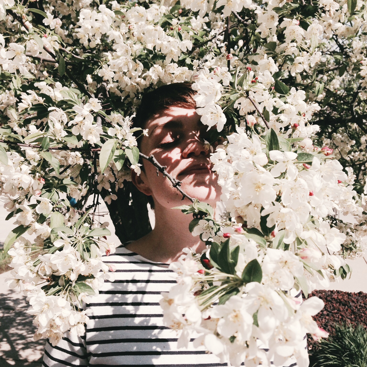 Meredith graves instagram